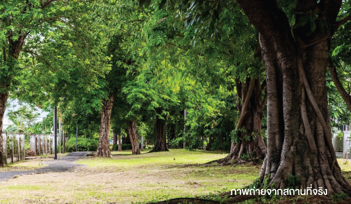 สวน Linear Park ขนาดใหญ่